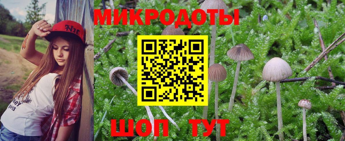 Можга  Галлюциногенные грибы Psilocybe  Псилоцибиновые грибы Psilocybine cubensis  Вход с VPN 