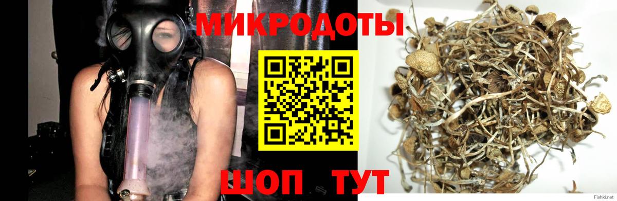 Псилоцибиновые грибы ЛСД Можга